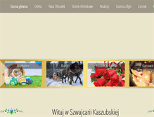Tablet Screenshot of cwsostrzyce.com